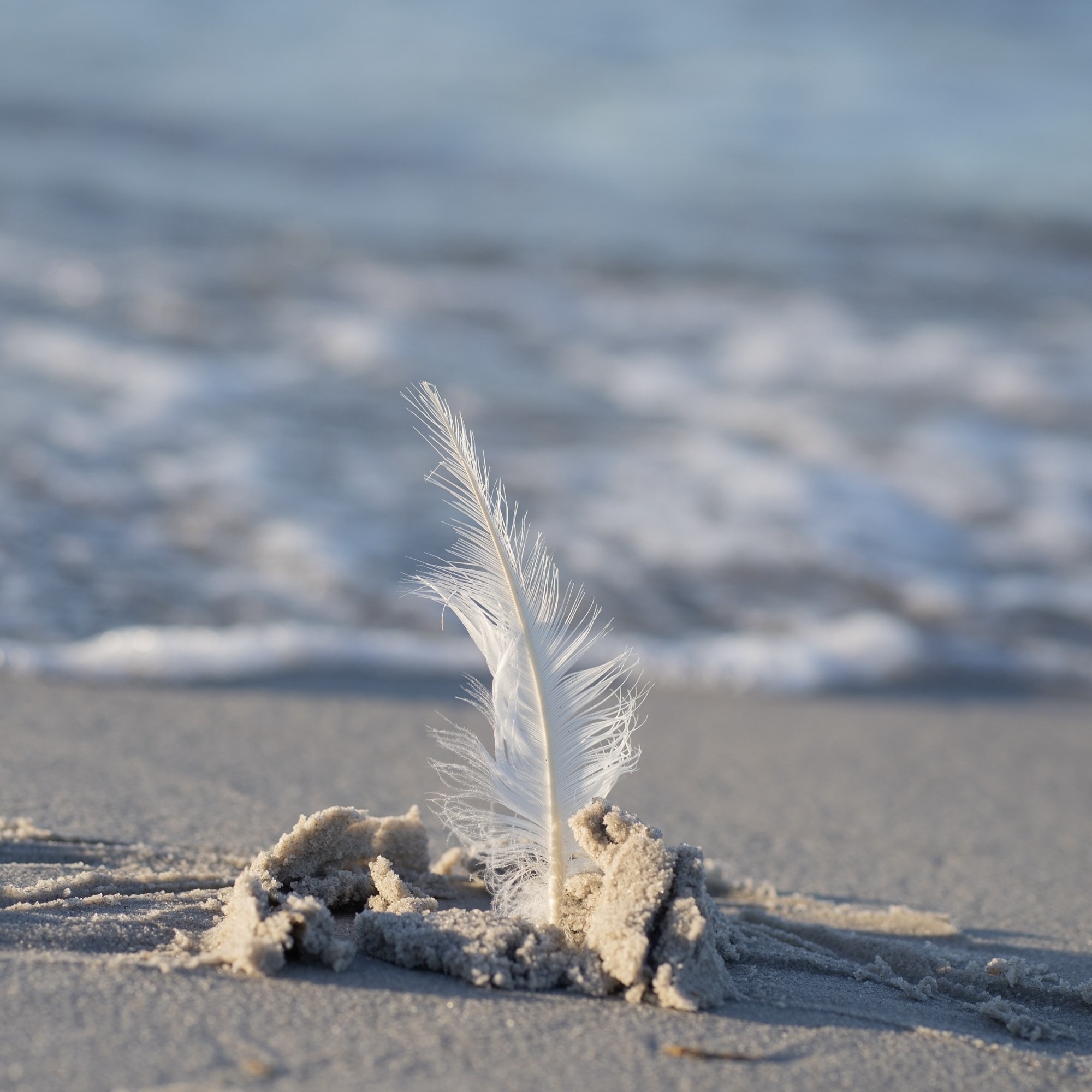 AI photoshoot template scene for ecommerce product